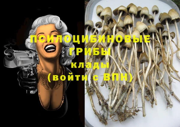 индика Зеленокумск