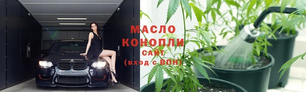 индика Зеленокумск