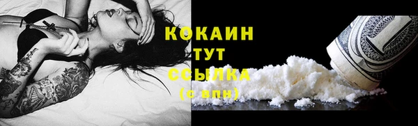 индика Зеленокумск