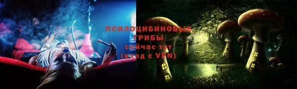 спиды Зерноград