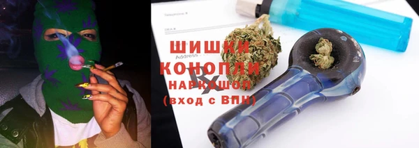 прущие грибы Россошь