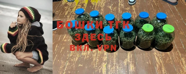индика Зеленокумск