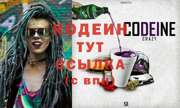 индика Зеленокумск