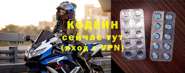 соль ск Заводоуковск