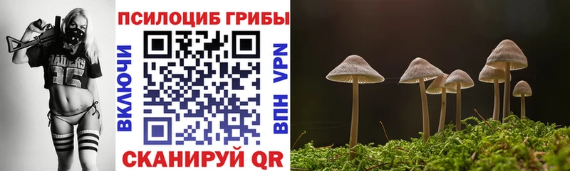 Галлюциногенные грибы прущие грибы  Спасск-Дальний 