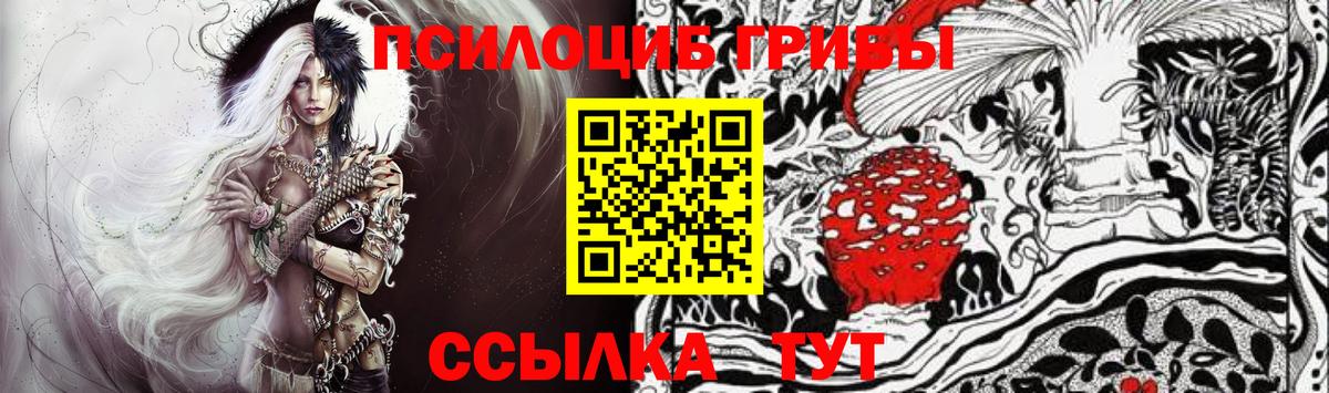 Спасск-Дальний  где купить наркотик  Вход с VPN  Галлюциногенные грибы Psilocybine cubensis 