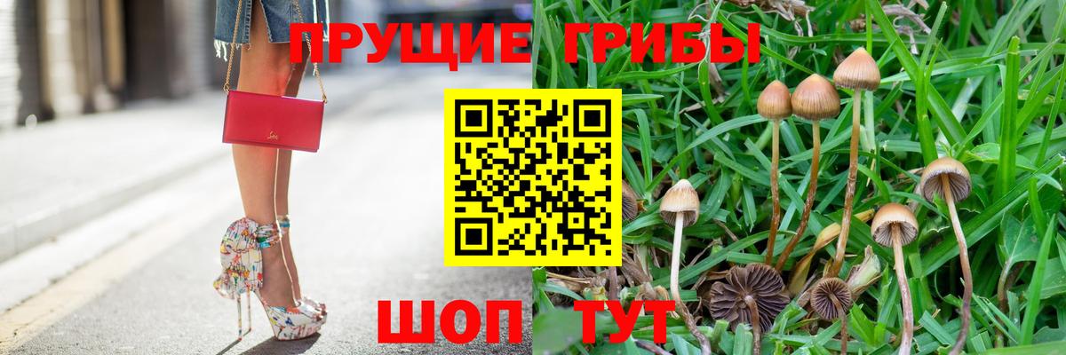 Галлюциногенные грибы мухоморы Спасск-Дальний